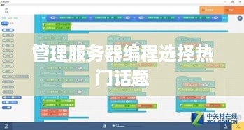 管理服务器编程选择热门话题
