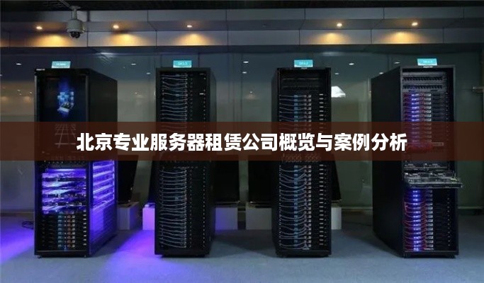 北京专业服务器租赁公司概览与案例分析