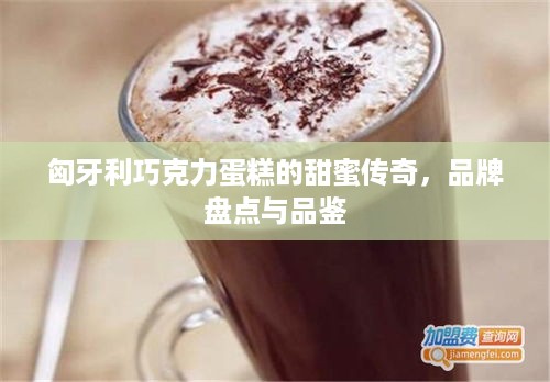 匈牙利巧克力蛋糕的甜蜜传奇，品牌盘点与品鉴