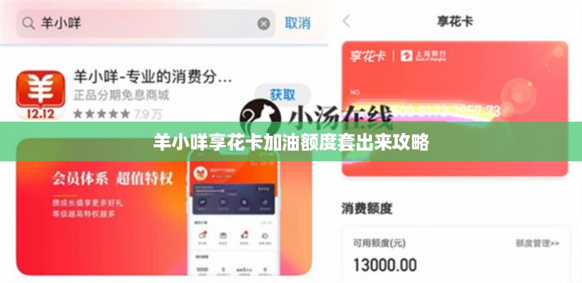 羊小咩享花卡加油额度套出来攻略
