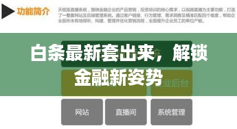 白条最新套出来，解锁金融新姿势