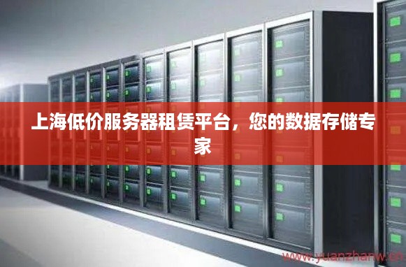 上海低价服务器租赁平台，您的数据存储专家