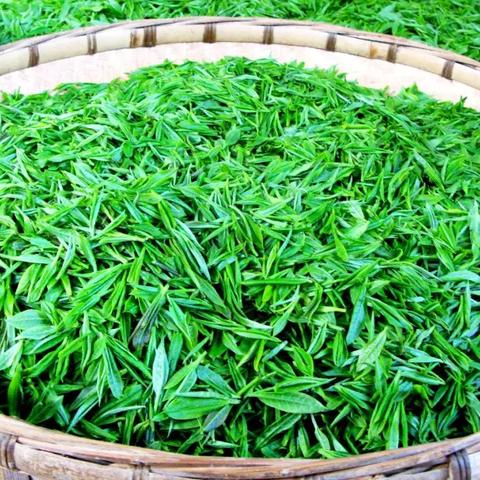 如何挑选优质品牌茶叶—购物指南与案例分析