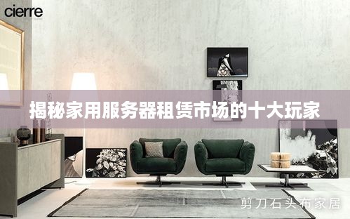 揭秘家用服务器租赁市场的十大玩家