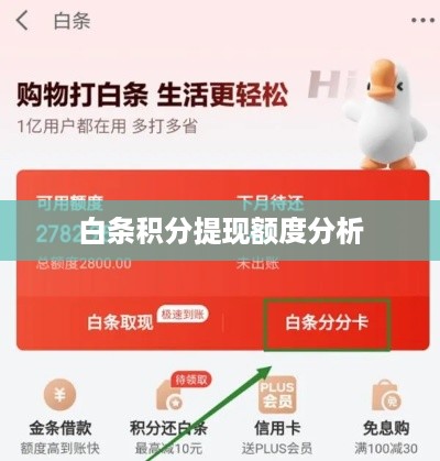白条积分提现额度分析