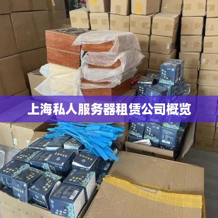 上海私人服务器租赁公司概览