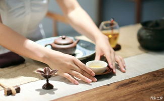 揭秘茶叶批发界的宝藏平台，哪个品牌茶叶拿货平台最靠谱？