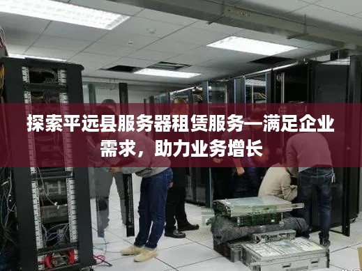 探索平远县服务器租赁服务—满足企业需求，助力业务增长