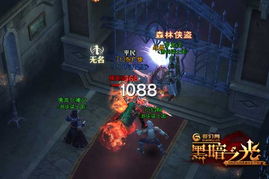探索神秘服务器，黑暗之光选择指南