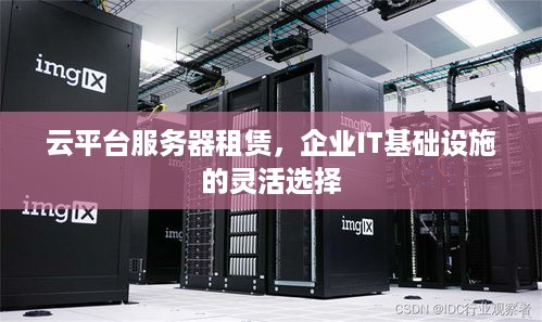 云平台服务器租赁，企业IT基础设施的灵活选择