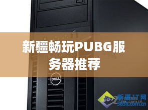 新疆畅玩PUBG服务器推荐