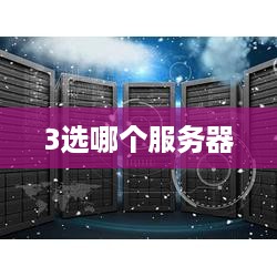 3选哪个服务器