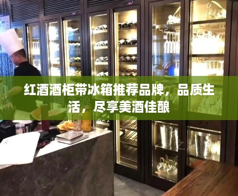 红酒酒柜带冰箱推荐品牌，品质生活，尽享美酒佳酿