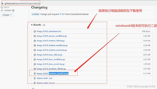 视频云服务器租赁价格全解析