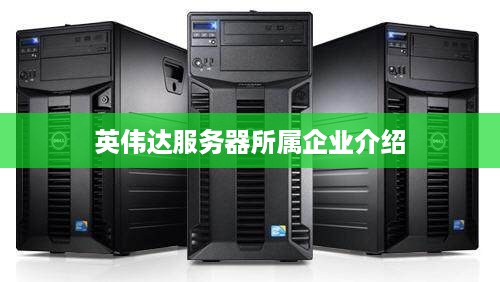 英伟达服务器所属企业介绍