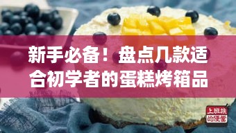 新手必备！盘点几款适合初学者的蛋糕烤箱品牌及型号