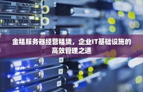 金租服务器经营租赁，企业IT基础设施的高效管理之道