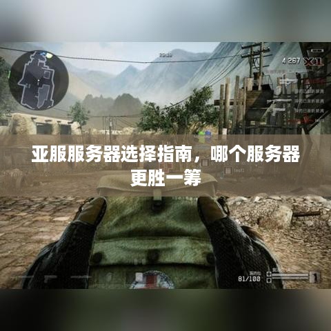 亚服服务器选择指南，哪个服务器更胜一筹