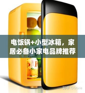 电饭锅+小型冰箱，家居必备小家电品牌推荐指南
