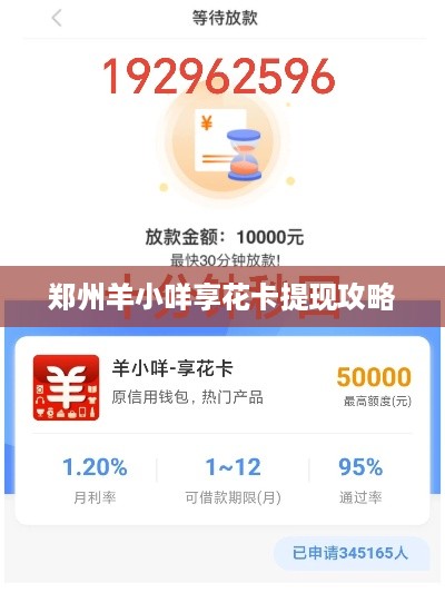 郑州羊小咩享花卡提现攻略