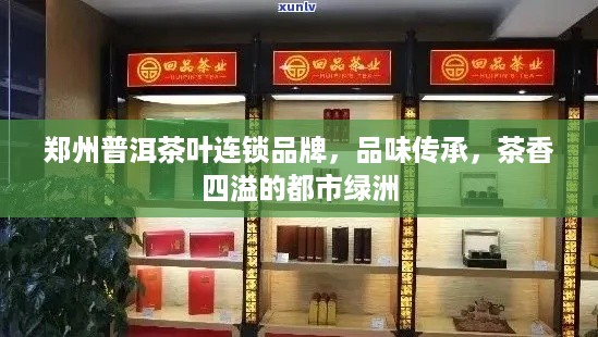 郑州普洱茶叶连锁品牌，品味传承，茶香四溢的都市绿洲
