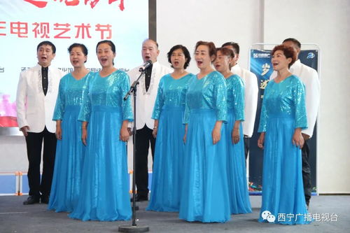 中老年宽松舞蹈服饰品牌推荐，舒适与时尚两不误