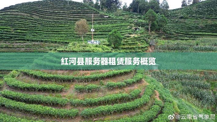 红河县服务器租赁服务概览