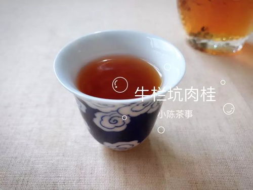 肉桂顶级茶叶品牌盘点，品味茶香中的贵族气息