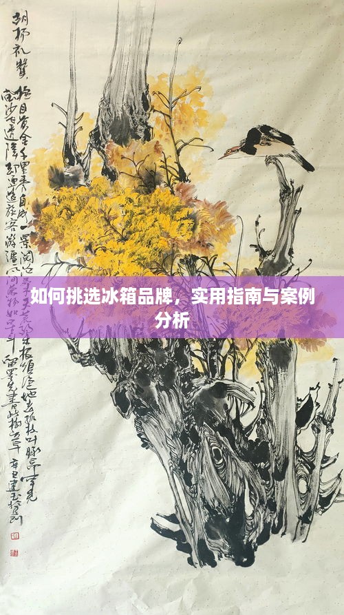 如何挑选冰箱品牌，实用指南与案例分析