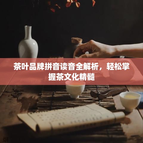 茶叶品牌拼音读音全解析，轻松掌握茶文化精髓