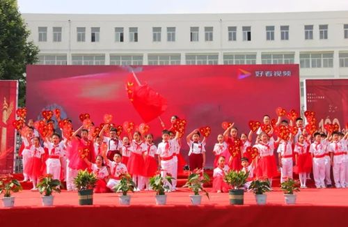 龙峰茶叶，探寻中国茶文化的经典传承