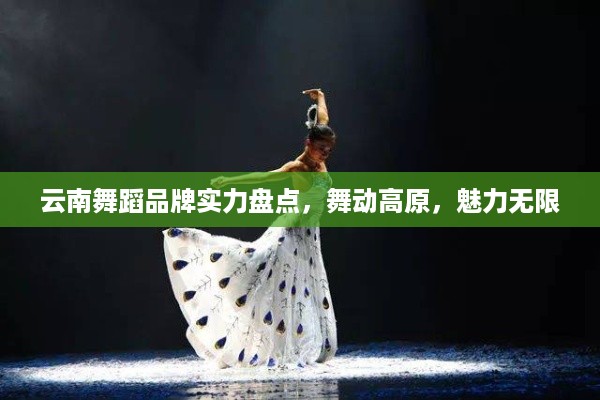 云南舞蹈品牌实力盘点，舞动高原，魅力无限
