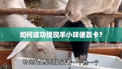 如何成功提现羊小咩便荔卡？