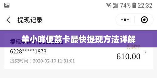 羊小咩便荔卡最快提现方法详解