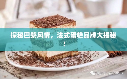探秘巴黎风情，法式蛋糕品牌大揭秘！