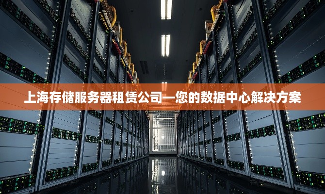 上海存储服务器租赁公司—您的数据中心解决方案