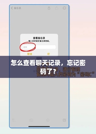 怎么查看聊天记录，忘记密码了？