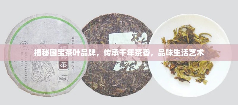 揭秘国宝茶叶品牌，传承千年茶香，品味生活艺术