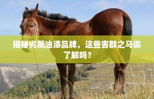 揭秘劣质油漆品牌，这些害群之马你了解吗？