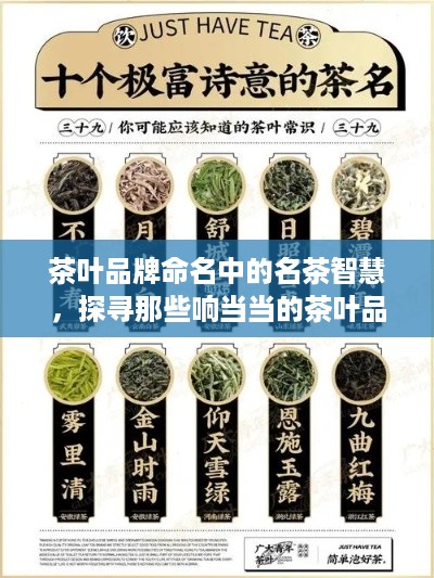 茶叶品牌命名中的名茶智慧，探寻那些响当当的茶叶品牌名