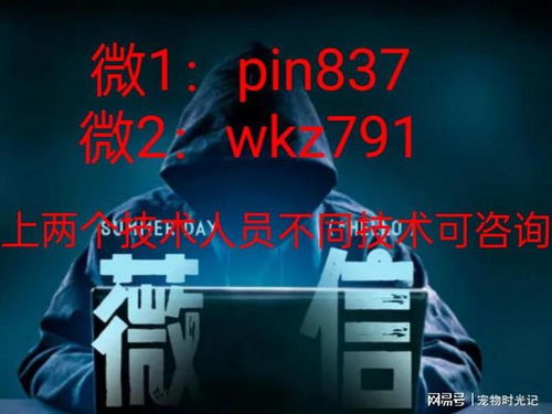 正规黑客24小时在线接单揭秘，如何成为顶尖黑客高手？