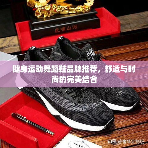 健身运动舞蹈鞋品牌推荐，舒适与时尚的完美结合