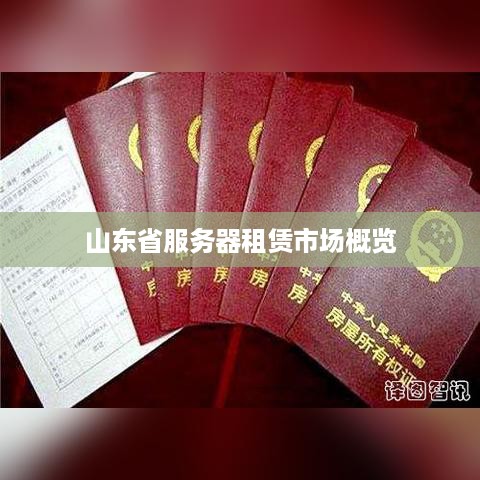 山东省服务器租赁市场概览
