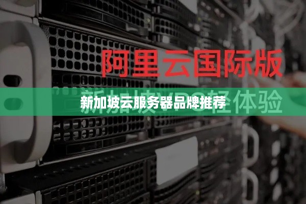 新加坡云服务器品牌推荐
