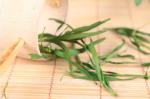 竹子香味茶叶品牌大盘点，品味自然，感受竹韵茶香