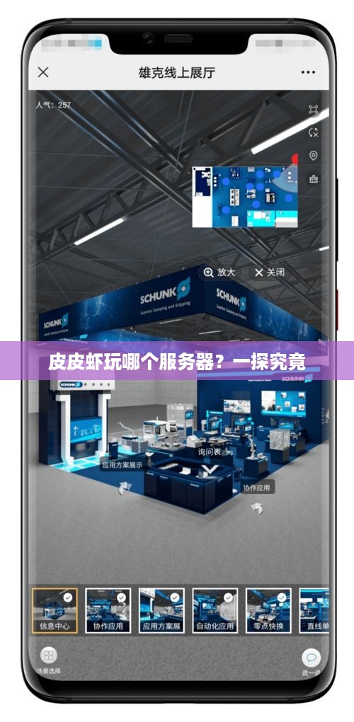 皮皮虾玩哪个服务器？一探究竟