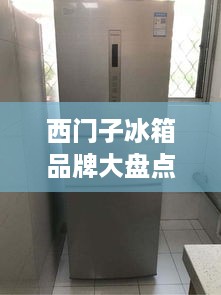 西门子冰箱品牌大盘点，从高端到实用，总有一款适合你