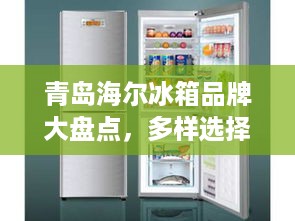 青岛海尔冰箱品牌大盘点，多样选择，满足不同需求