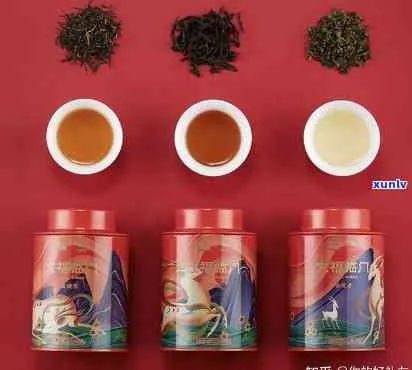 送礼佳选，盘点几款适合送人的茶叶品牌及特点