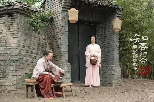揭秘知否？知否？应是绿肥红瘦背后的茶叶品牌—品味历史，尽在知否系列